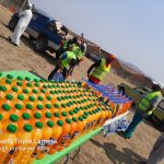 Mass Feeding September 2020 (12)